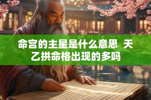 命宫的主星是什么意思  天乙拱命格出现的多吗