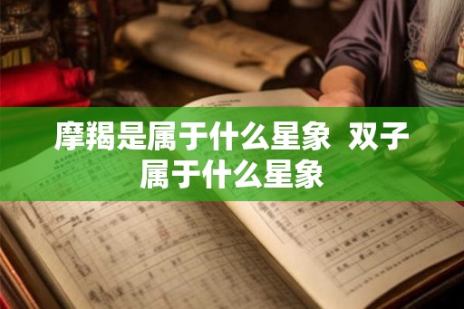 摩羯是属于什么星象  双子属于什么星象