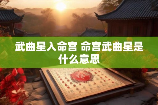 武曲星入命宫 命宫武曲星是什么意思