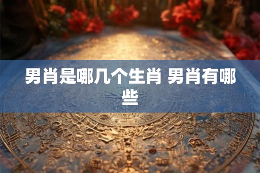 男肖是哪几个生肖 男肖有哪些
