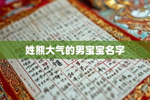 姓熊大气的男宝宝名字
