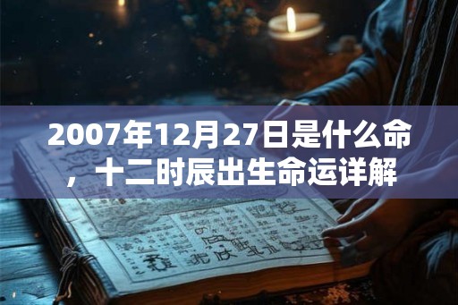 2007年12月27日是什么命，十二时辰出生命运详解