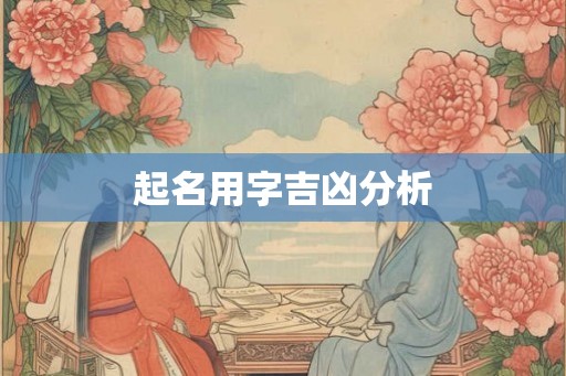 起名用字吉凶分析