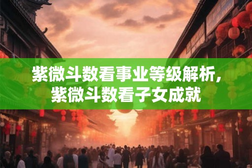 紫微斗数看事业等级解析,紫微斗数看子女成就