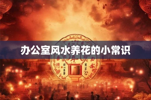 办公室风水养花的小常识