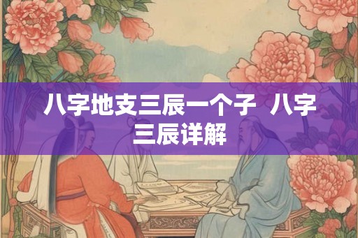 八字地支三辰一个子  八字三辰详解