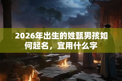2026年出生的姓甄男孩如何起名，宜用什么字
