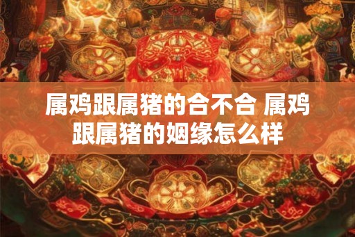 属鸡跟属猪的合不合 属鸡跟属猪的姻缘怎么样 属鸡跟属猪的合不合 属鸡跟属猪的姻缘怎么样