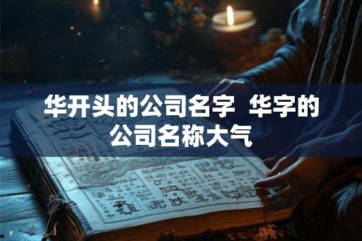 华开头的公司名字  华字的公司名称大气