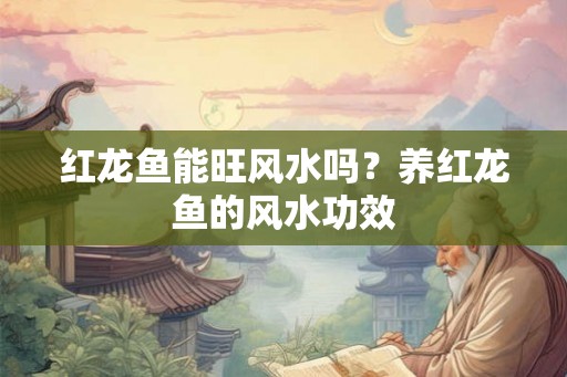 红龙鱼能旺风水吗？养红龙鱼的风水功效
