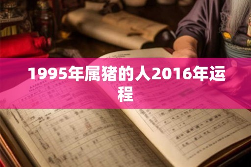 1995年属猪的人2016年运程