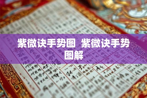 紫微诀手势图 紫微诀手势图解 紫微诀手势图 紫微诀手势图解