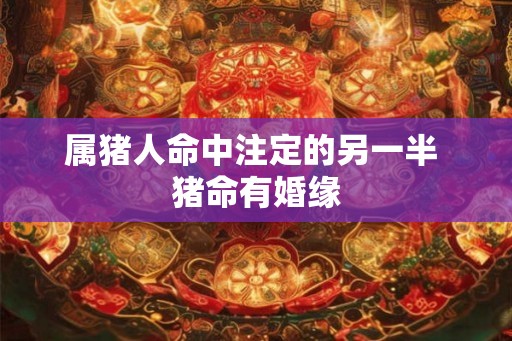 属猪人命中注定的另一半 猪命有婚缘