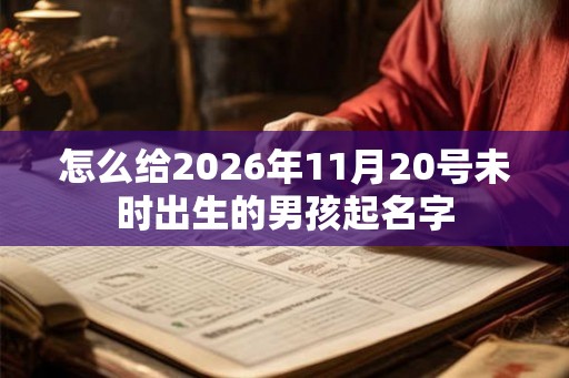 怎么给2026年11月20号未时出生的男孩起名字