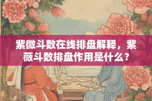 紫微斗数在线排盘解释，紫薇斗数排盘作用是什么？