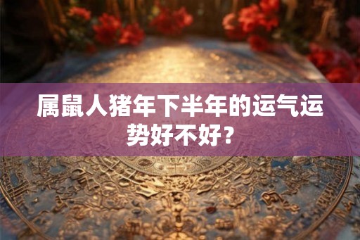 属鼠人猪年下半年的运气运势好不好？