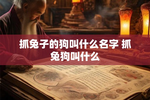抓兔子的狗叫什么名字 抓兔狗叫什么