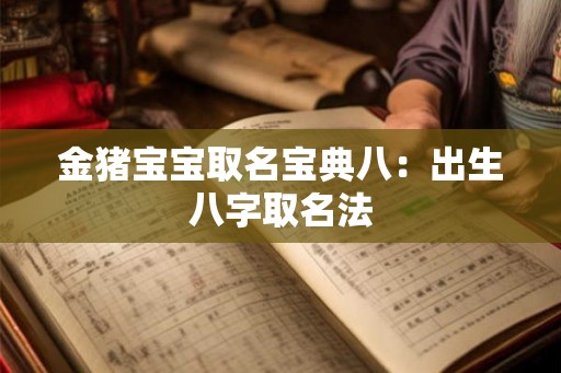 金猪宝宝取名宝典八:出生八字取名法 金猪宝宝取名宝典八:出生八字取名法