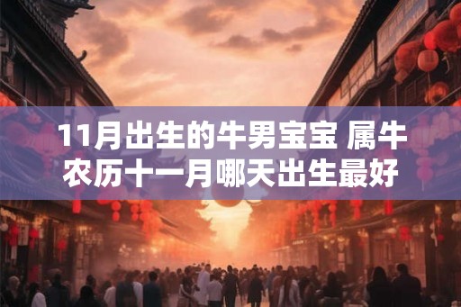 11月出生的牛男宝宝 属牛农历十一月哪天出生最好