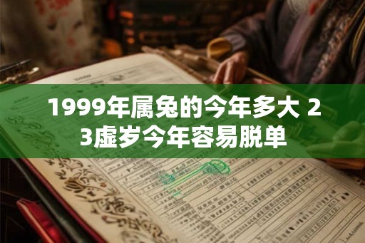 1999年属兔的今年多大 23虚岁今年容易脱单