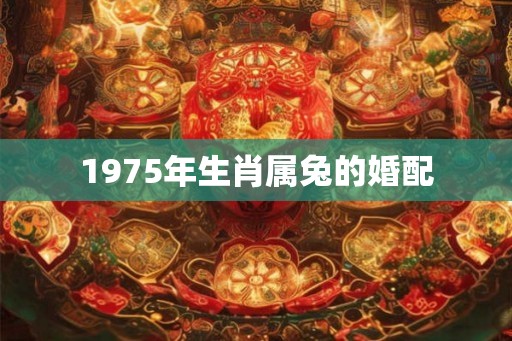 1975年生肖属兔的婚配