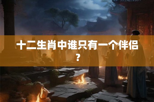 十二生肖中谁只有一个伴侣？