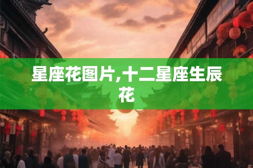 星座花图片,十二星座生辰花