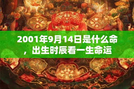 2001年9月14日是什么命，出生时辰看一生命运