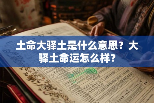 土命大驿土是什么意思？大驿土命运怎么样？