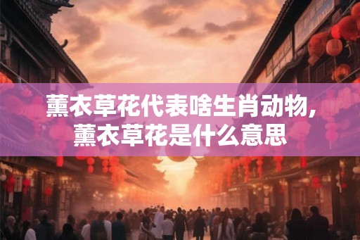 薰衣草花代表啥生肖动物,薰衣草花是什么意思