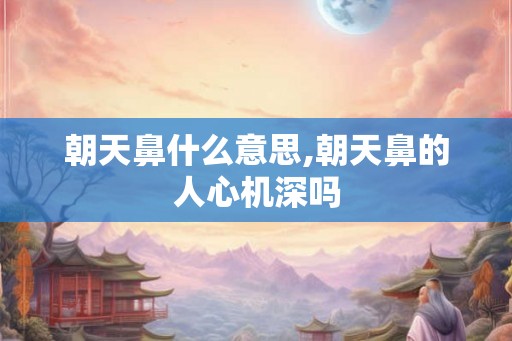 朝天鼻什么意思,朝天鼻的人心机深吗