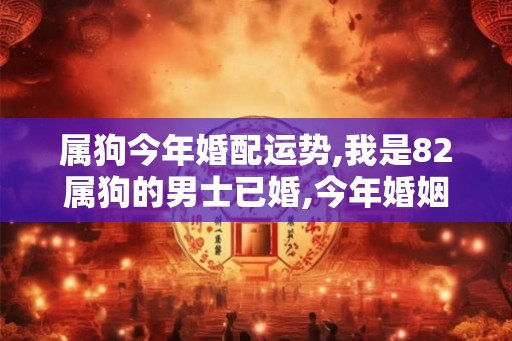 属狗今年婚配运势,我是82属狗的男士已婚,今年婚姻状态