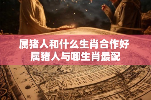 属猪人和什么生肖合作好 属猪人与哪生肖最配