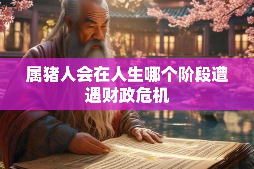 属猪人会在人生哪个阶段遭遇财政危机