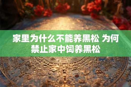 家里为什么不能养黑松 为何禁止家中饲养黑松 家里为什么不能养黑松 为何禁止家中饲养黑松