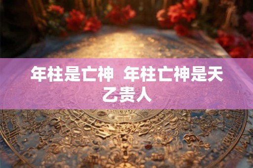 年柱是亡神 年柱亡神是天乙贵人 年柱是亡神 年柱亡神是天乙贵人