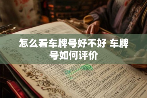 怎么看车牌号好不好 车牌号如何评价