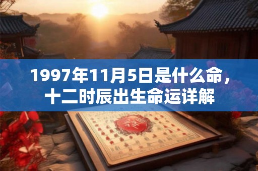 1997年11月5日是什么命,十二时辰出生命运详解 1997年11月5日是什么命,十二时辰出生命运详解