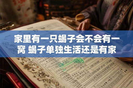 家里有一只蝎子会不会有一窝 蝎子单独生活还是有家人 家里有一只蝎子会不会有一窝 蝎子单独生活还是有家人