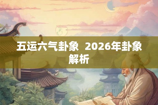 五运六气卦象  2026年卦象解析