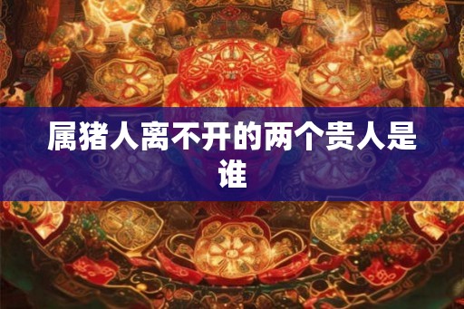 属猪人离不开的两个贵人是谁