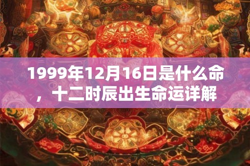 1999年12月16日是什么命,十二时辰出生命运详解 1999年12月16日是什么命,十二时辰出生命运详解