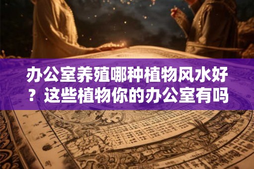 办公室养殖哪种植物风水好？这些植物你的办公室有吗？