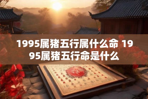 1995属猪五行属什么命 1995属猪五行命是什么