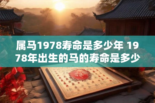 属马1978寿命是多少年 1978年出生的马的寿命是多少