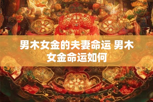 男木女金的夫妻命运 男木女金命运如何