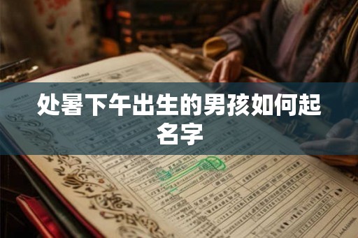 处暑下午出生的男孩如何起名字 处暑下午出生的男孩如何起名字
