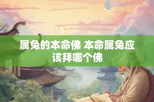 属兔的本命佛 本命属兔应该拜哪个佛
