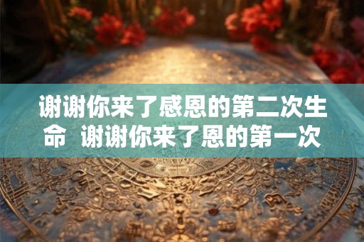 谢谢你来了感恩的第二次生命  谢谢你来了恩的第一次生命