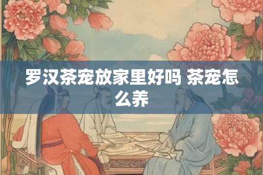 罗汉茶宠放家里好吗 茶宠怎么养